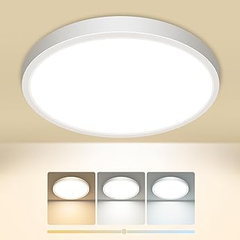 LQWELL® Lámpara de Techo LED Lámpara de Techo, IP44 Lámpara de Baño Impermeable Redonda Plana 18W 4000K 1980LM Delgada para Sala de Estar Baño Dormitorio Cocina Pasillo Sótano Oficina, 220 * 24mm