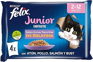 FELIX Fantastic, Wet Food for Junior Cat, Gelatin, Beef, Salmon, Chicken and Tuna, 12 Packs of 4 85g Sachets (48 Sachets)