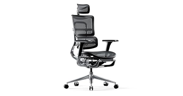 Diablo VMaster Silla de Escritorio ergonmica Silla de Oficina apoyabrazos Ajustables reposapis Mecanismo de inclinacin Malla Cuero sinttico seleccin de Color Negro