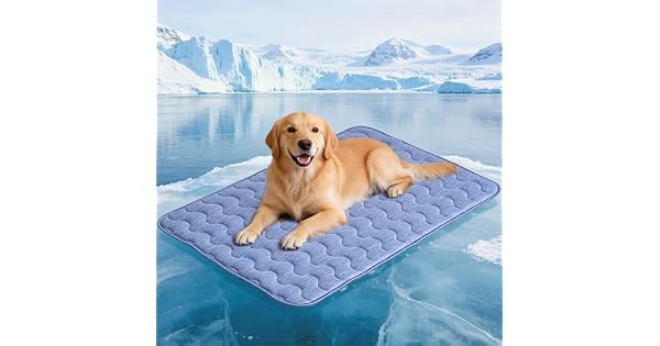 APPKER Alfombrilla refrescante para perros alfombrilla de refrigeracin de doble cara para mascotas 70 x 48 cm fibra de refrigeracin Arc Chill  QMAX  045 para sof y coche manta de verano
